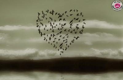 just for you my love