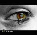 dont cry